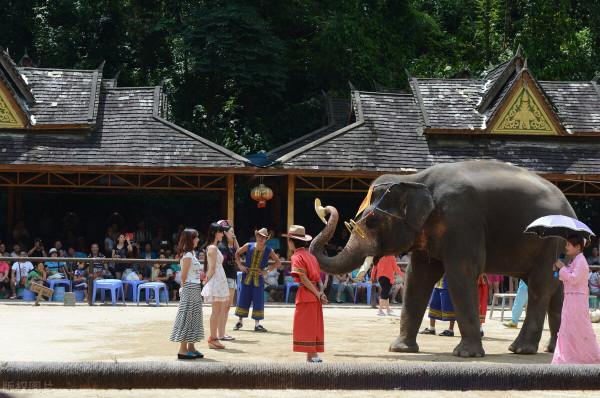 一張導航圖自駕遊新219國道全程10065公里，從東興到喀納斯（一）