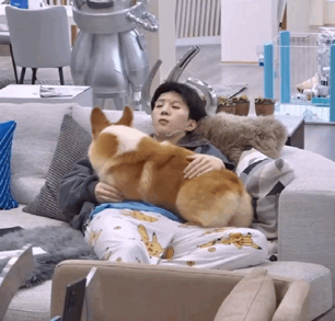 範丞丞以後別叫福西西了，叫慘兮兮吧？