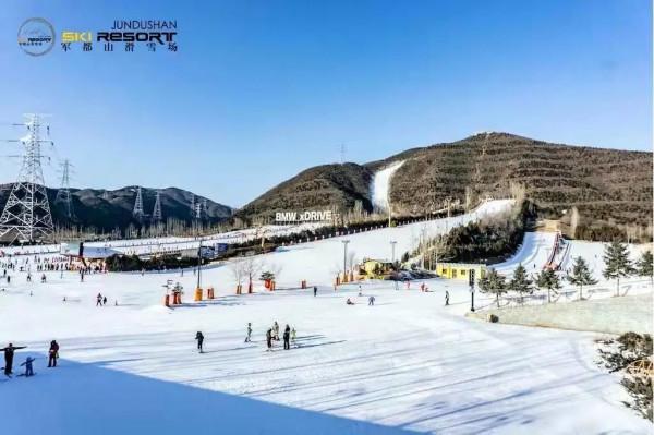 元旦去哪玩？賞花燈、看錶演、戲冰雪……