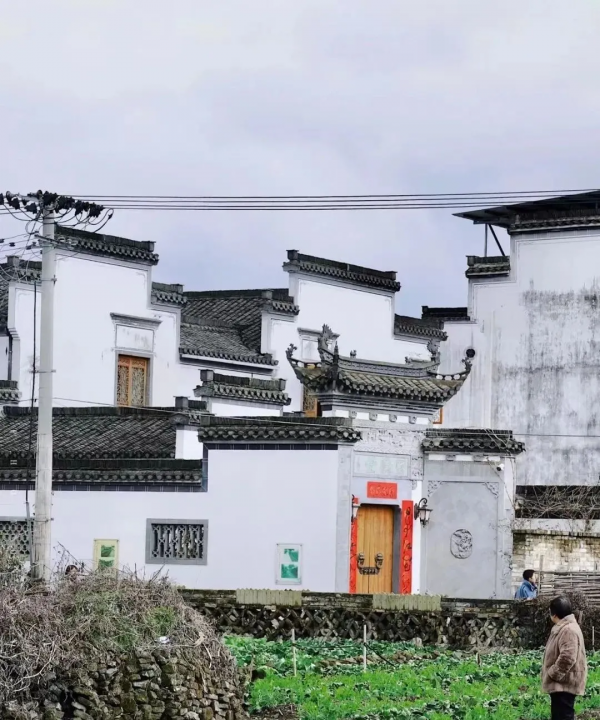 尋春西溪南｜江南無所有，聊贈一枝春