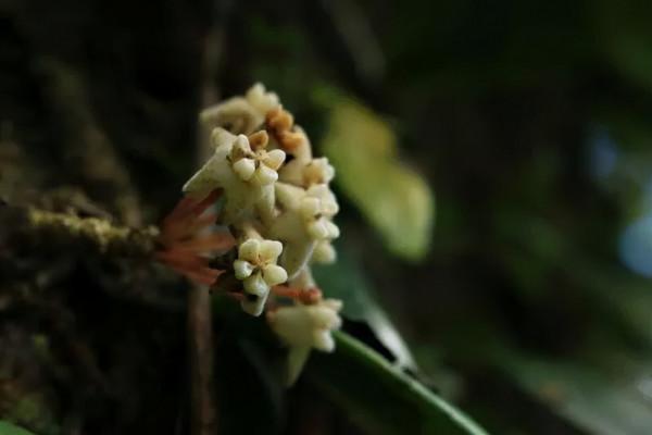 神奇動物在梯影！一起來抖音守護地球家園
