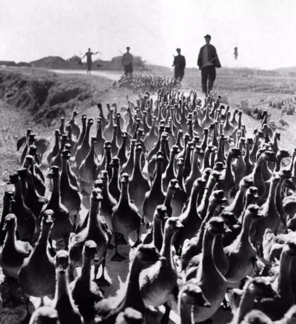 1921-2021，中國重要的一百個瞬間