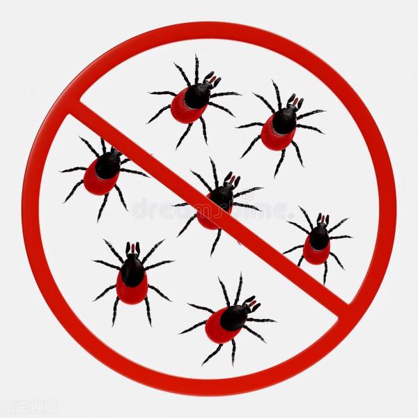 監守自盜的赤腳醫生,兼職吸血鬼的保潔人員:牛椋鳥 監守自盜的赤腳醫生,兼職吸血鬼的保潔人員:牛椋鳥