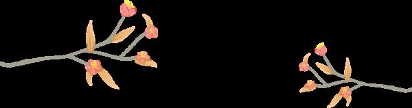 補水的秘籍-悄悄告訴你 補水的秘籍-悄悄告訴你