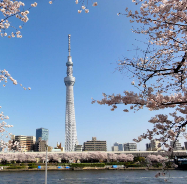 重新認識印度:國力不在日本之下 重新認識印度:國力不在日本之下