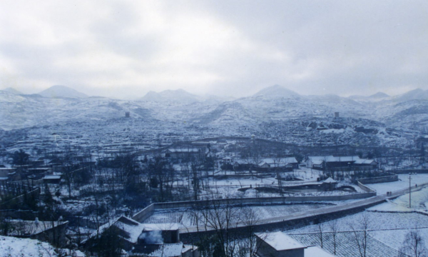 1981年，白公館一位老太看著牆上照片痛哭，遊客才知她是英烈遺孀