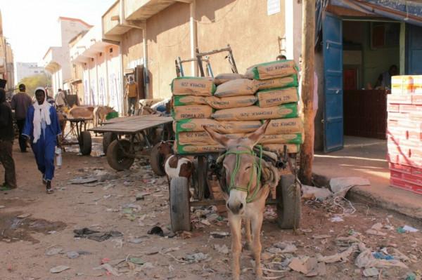 漫步茅利塔尼亞市場,感受非洲的輝煌 漫步茅利塔尼亞市場,感受非洲的輝煌