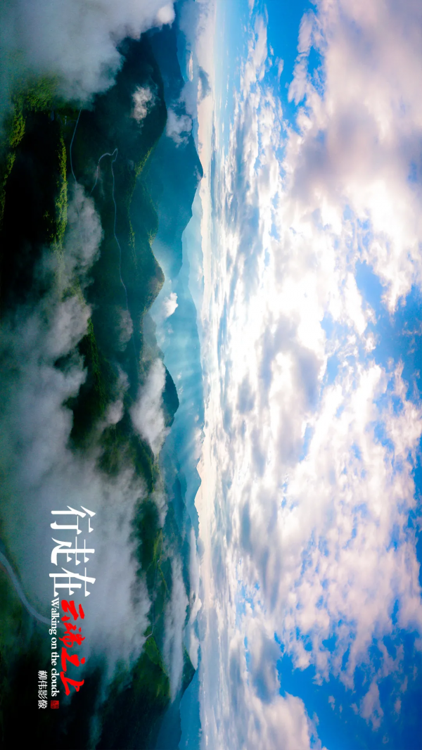 旋轉手機90° →哇！平利正陽雲端草甸這麼美嗎！