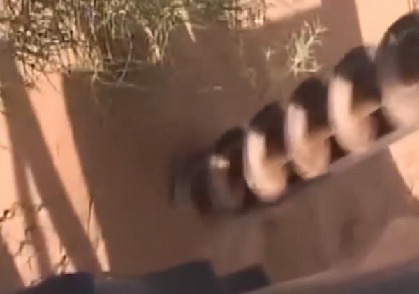 內蒙34歲男子借200萬包下荒漠,幾年後成當地首富,黃沙中真有黃金? 內蒙34歲男子借200萬包下荒漠,幾年後成當地首富,黃沙中真有黃金?