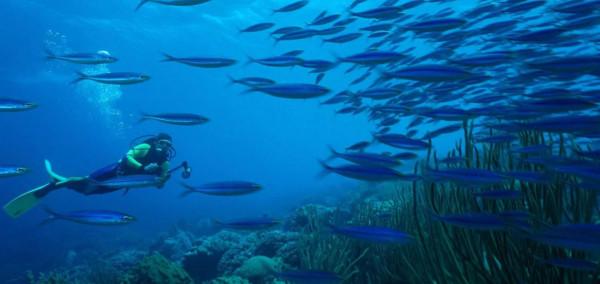 2022 年的 25 條精彩旅程(二)