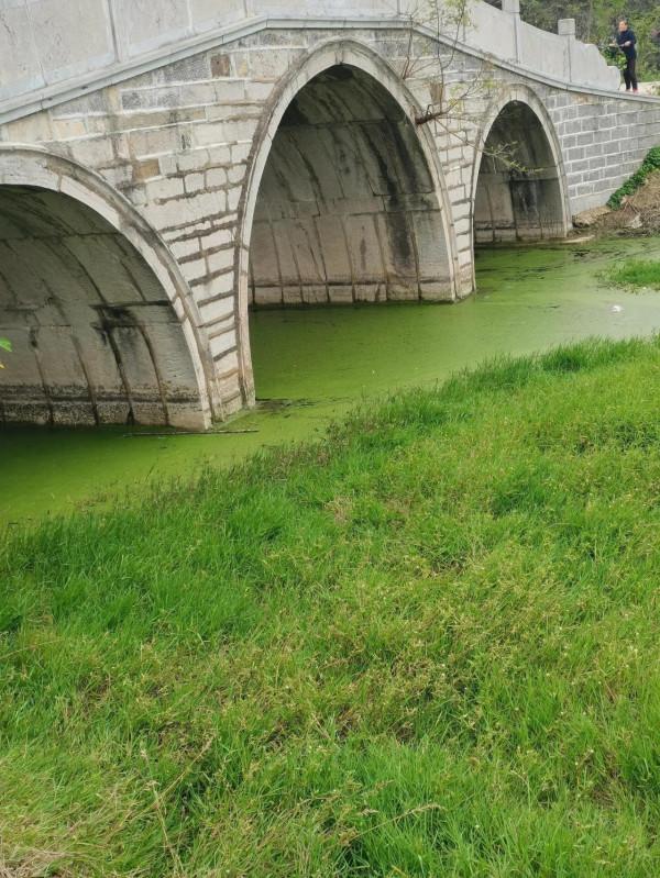 句容民俗：討壽