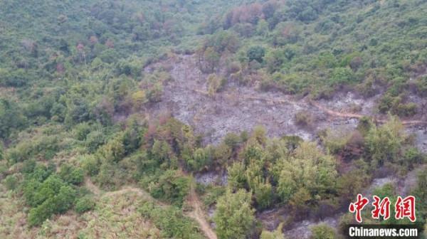緊急馳援滅山火——南部戰區空軍某部處置突發火情側記 緊急馳援滅山火——南部戰區空軍某部處置突發火情側記
