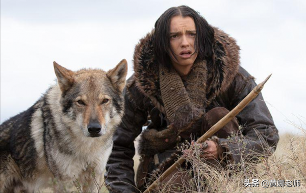 心機野狼如何被“招安”成了溫順家犬:很多時候,就是餓的 心機野狼如何被“招安”成了溫順家犬:很多時候,就是餓的