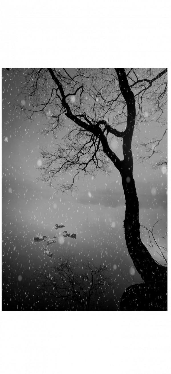 水墨丹青 華為手機