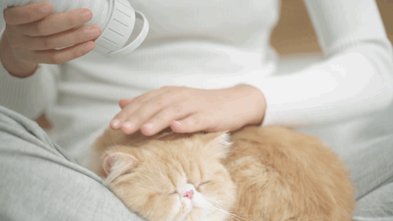 衣物不再潮溼不幹!雨傘大小的便攜多功能暖烘機,乾衣、暖被、烘鞋超實用 衣物不再潮溼不幹!雨傘大小的便攜多功能暖烘機,乾衣、暖被、烘鞋超實用