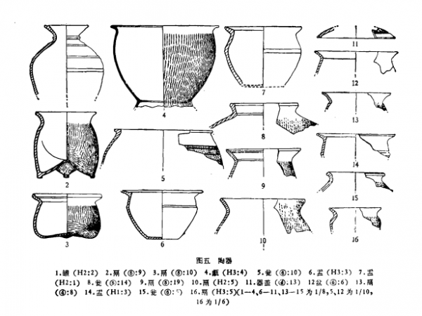 陝西長安縣灃西新旺村西周制骨作坊遺址 陝西長安縣灃西新旺村西周制骨作坊遺址