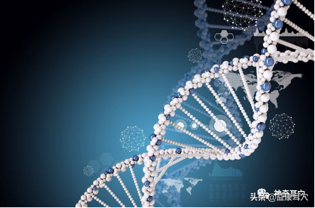 益康耳穴：耳與生物全息學說