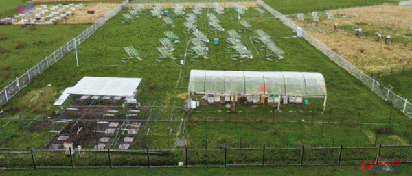 “去三江源國家公園見到野生動物的機率是100%”,他為何能自信承諾? “去三江源國家公園見到野生動物的機率是100%”,他為何能自信承諾?