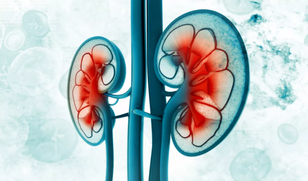 24歲小夥腎臟突然&OpenCurlyDoubleQuote;罷工&rdquo;！中醫治療？還是西醫治療？