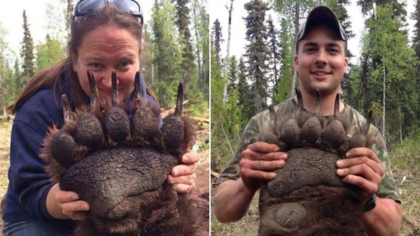 令人驚歎!30張震撼的對比照,看完姿勢大漲 令人驚歎!30張震撼的對比照,看完姿勢大漲