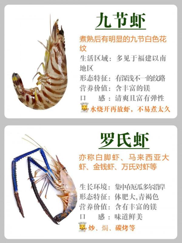 常見蝦的區別及做法