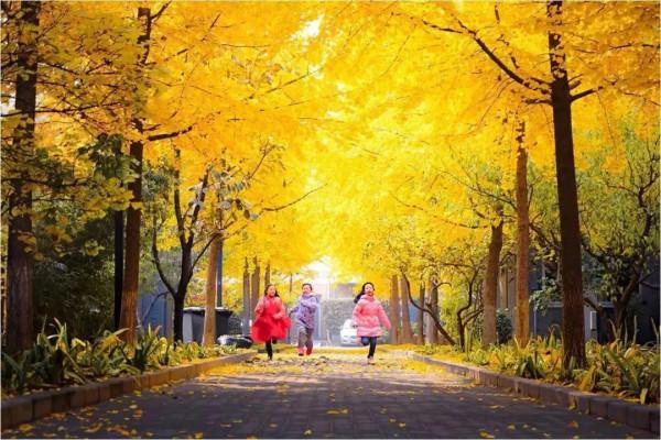 我為什麼一起跑膝蓋就疼? 我為什麼一起跑膝蓋就疼?