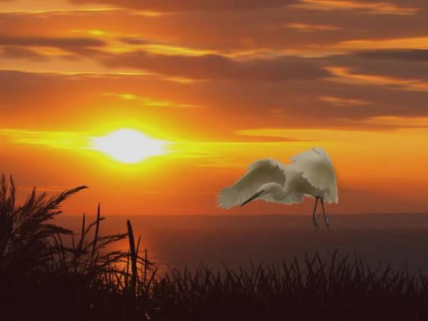 海洋的景色，真美