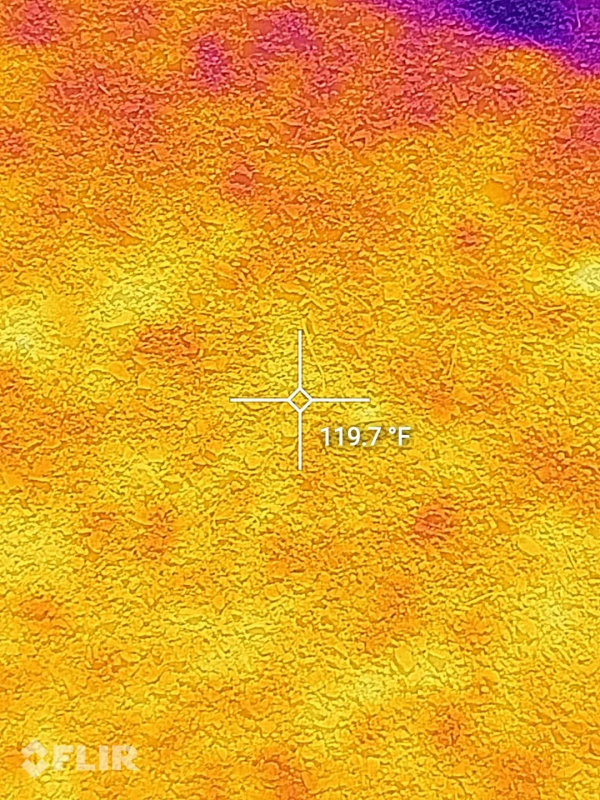 小貓咪的本質竟然是外星人?帶你解密全過程...... 小貓咪的本質竟然是外星人?帶你解密全過程......