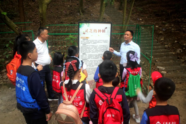 小記遊學高峰森林公園:研學路辨中草藥材,訪靈芝谷看林下經濟 小記遊學高峰森林公園:研學路辨中草藥材,訪靈芝谷看林下經濟