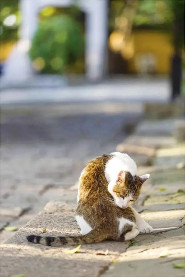 “中國第①水鄉”周莊沒人能抵抗的了，坐擁30000㎡親子樂園