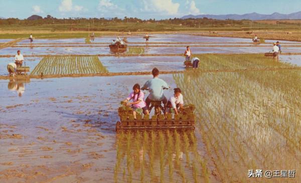 懷舊中國|1970年代的廣西 懷舊中國|1970年代的廣西