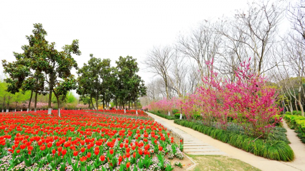 閔行體育公園&OpenCurlyDoubleQuote;千米花道&rdquo;
