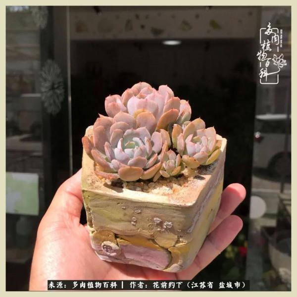 你儘管善良,福報都在路上 你儘管善良,福報都在路上