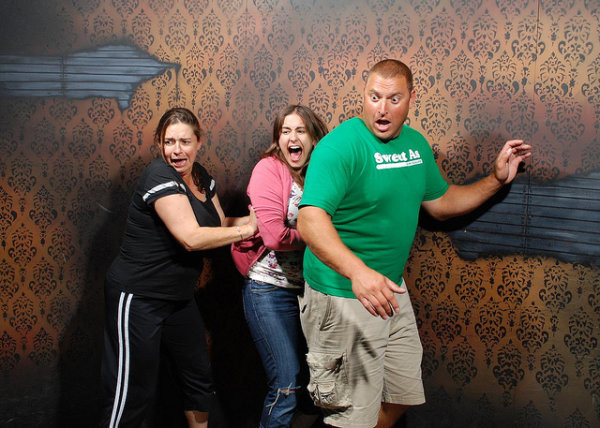 網紅貓被套臭屁彈致死,緊急情況時的“應激反應”,究竟是什麼? 網紅貓被套臭屁彈致死,緊急情況時的“應激反應”,究竟是什麼?