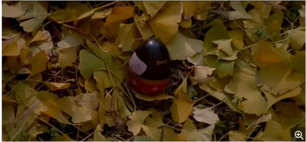 美麗的紫日,無法回首的戰爭 美麗的紫日,無法回首的戰爭