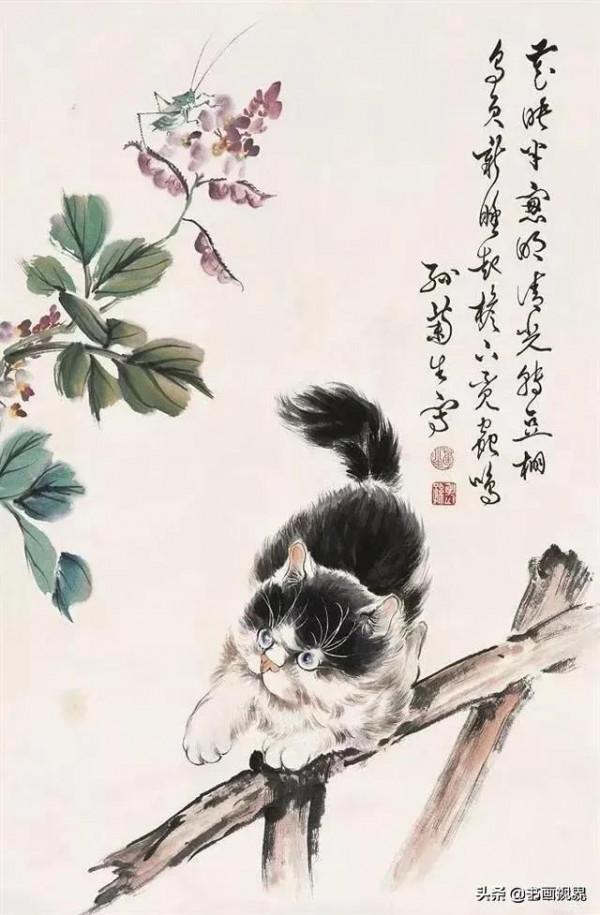 孫菊生筆下的貓有多精彩？看看這46幅國畫吧