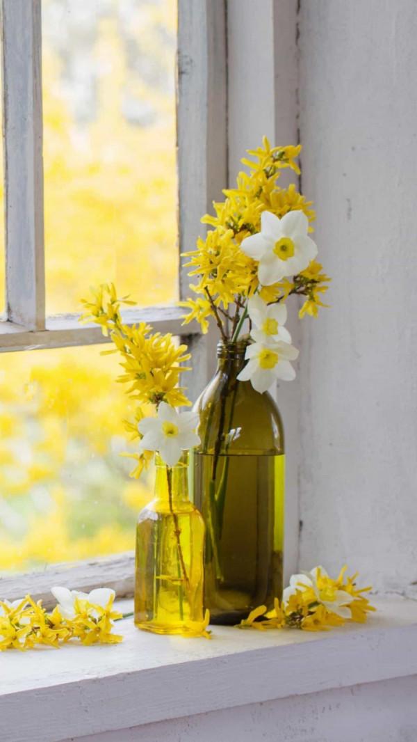 畢淑敏散文之《芒果女人》 畢淑敏散文之《芒果女人》