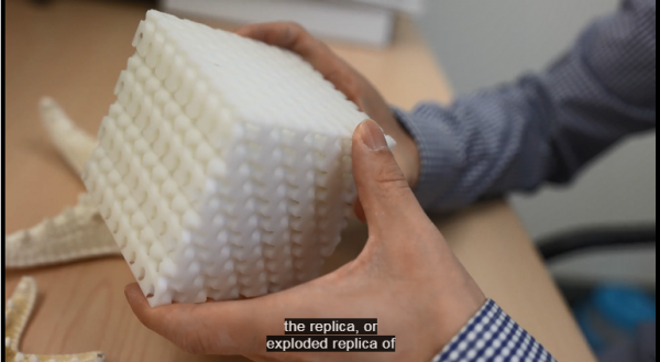 華人學者研究登Science封面：發現前所未見的&OpenCurlyDoubleQuote;瘋狂&rdquo;結構