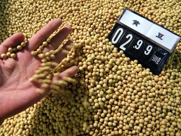 美國低價將糧食出口給中國,他們究竟為了什麼? 美國低價將糧食出口給中國,他們究竟為了什麼?