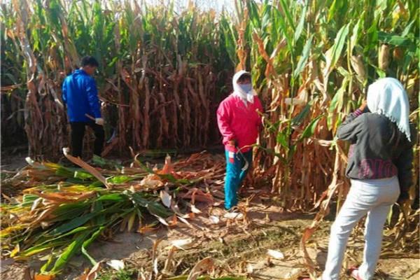 她一輩子沒有再嫁人，獨自拉扯兩個孩子，這個女人不容易