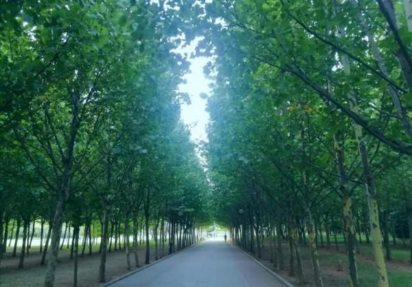 不幹班主任的感覺,真好 不幹班主任的感覺,真好