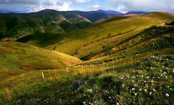 消失128年！極危物種重現雲南天坑，科學家正搶救性採集