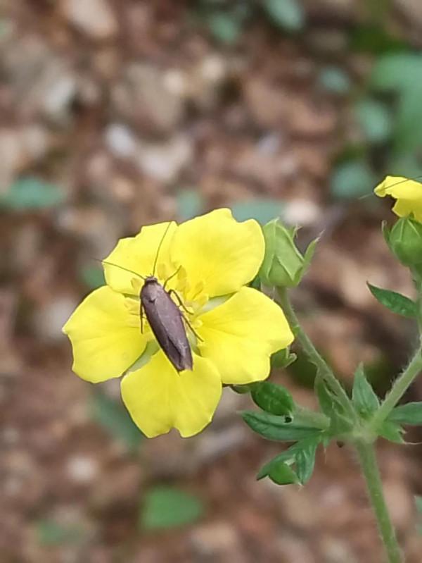 開心小賣郭 開心小賣郭