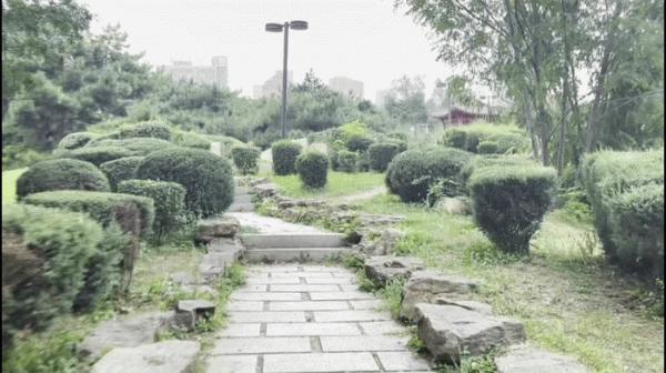 自動開合，三軸一體便攜無壓力-SNOPPA隨拍ATOM 2自動摺疊手機雲臺