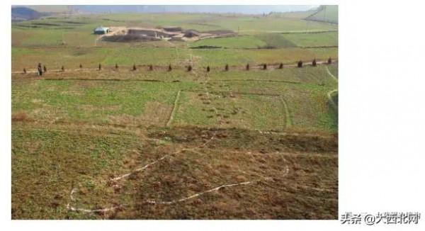 甘肅考古回放丨&ZeroWidthSpace;大堡子山遺址