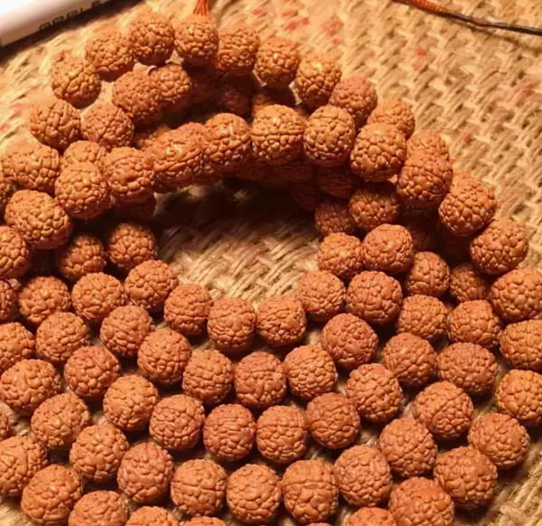 金剛菩提，老手和新手的區別到底在哪？