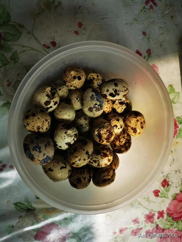 因聽寫語課後詞語,我和11歲的兒子大吵,最後崩潰大哭,後悔啊 因聽寫語課後詞語,我和11歲的兒子大吵,最後崩潰大哭,後悔啊