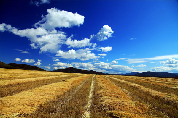國內6條超驚豔的自駕路線，橫跨東西南北，一路風景賞心悅目