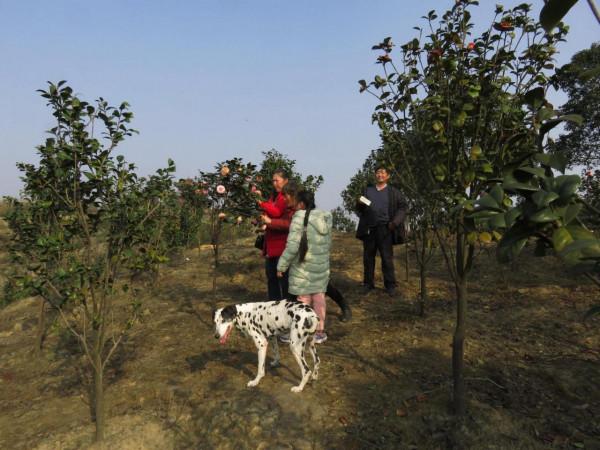 我作為一個非常愛狗的人,為什麼再也不養狗了 我作為一個非常愛狗的人,為什麼再也不養狗了