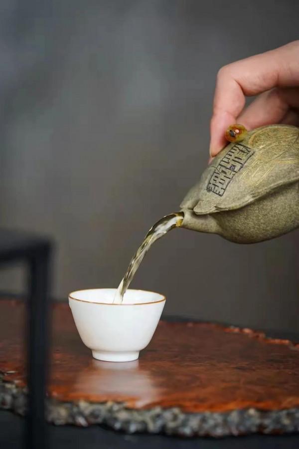 龜殼，逼真嗎？